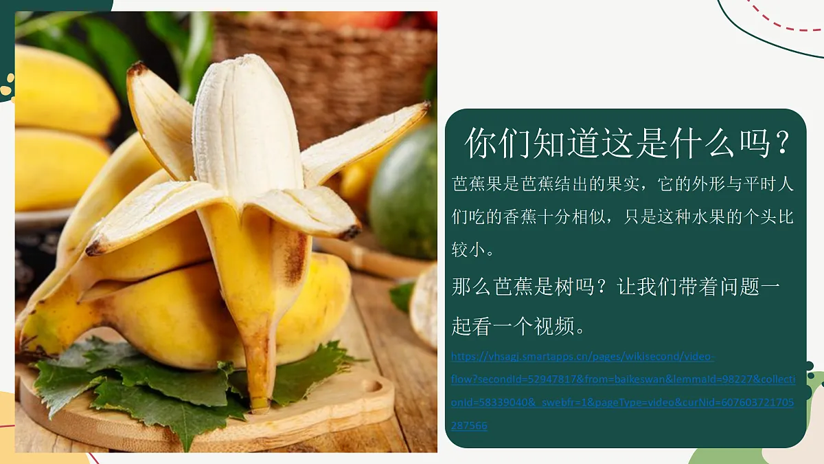 17443364第4页