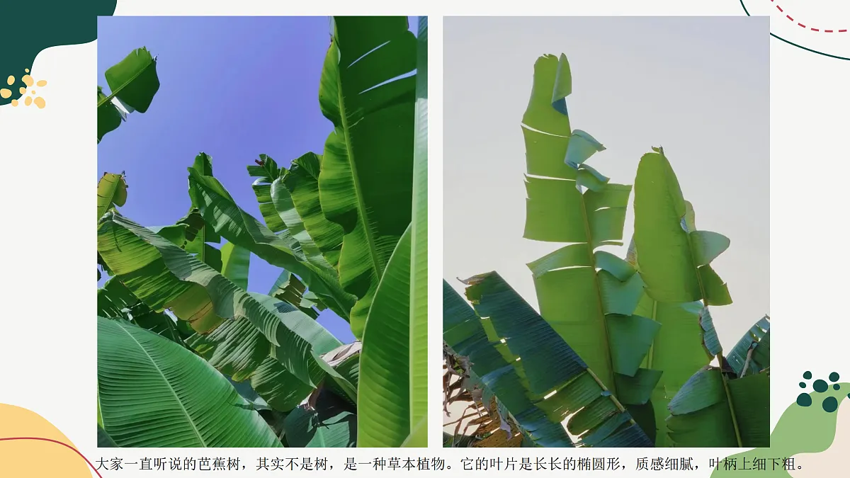 17443364第5页