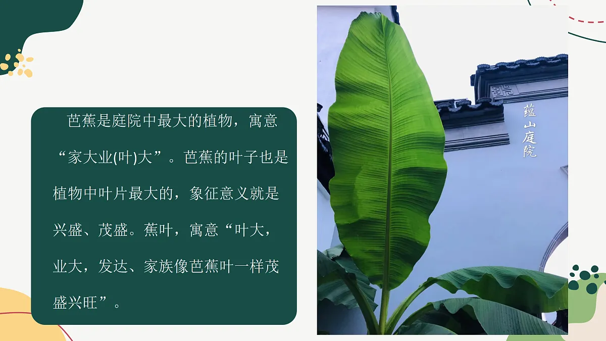 17443364第6页