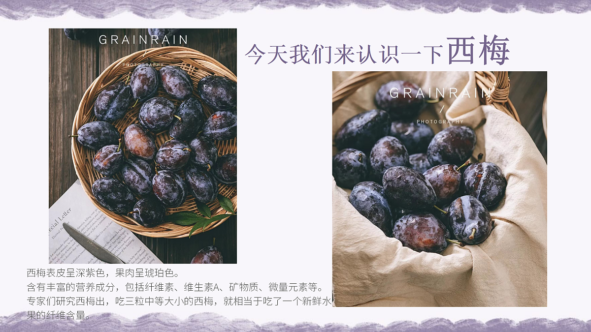 17443367第5页