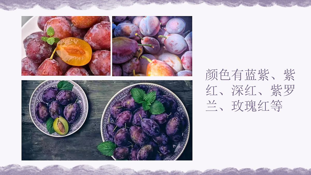 17443367第8页
