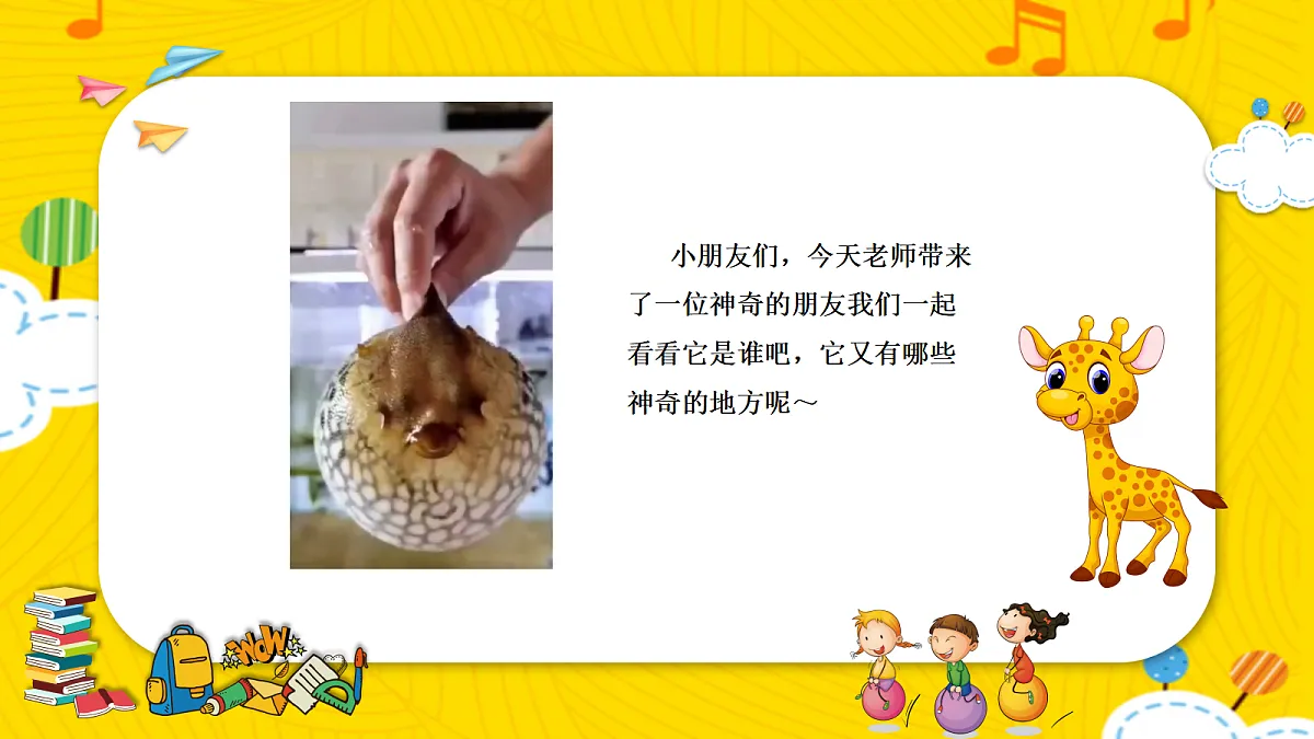 17443369第8页