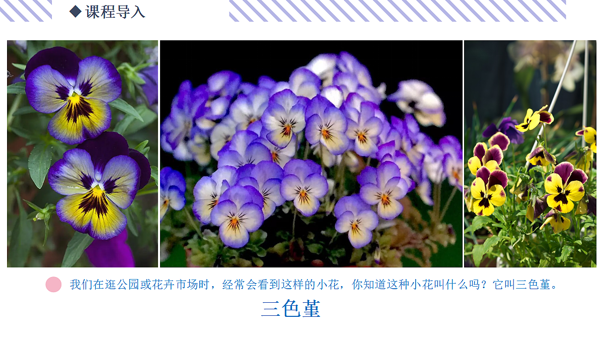 17443378第5页