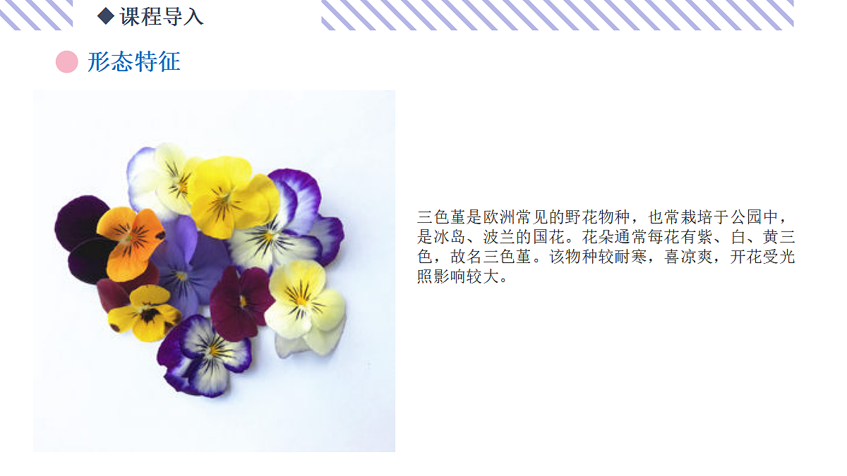 17443378第7页