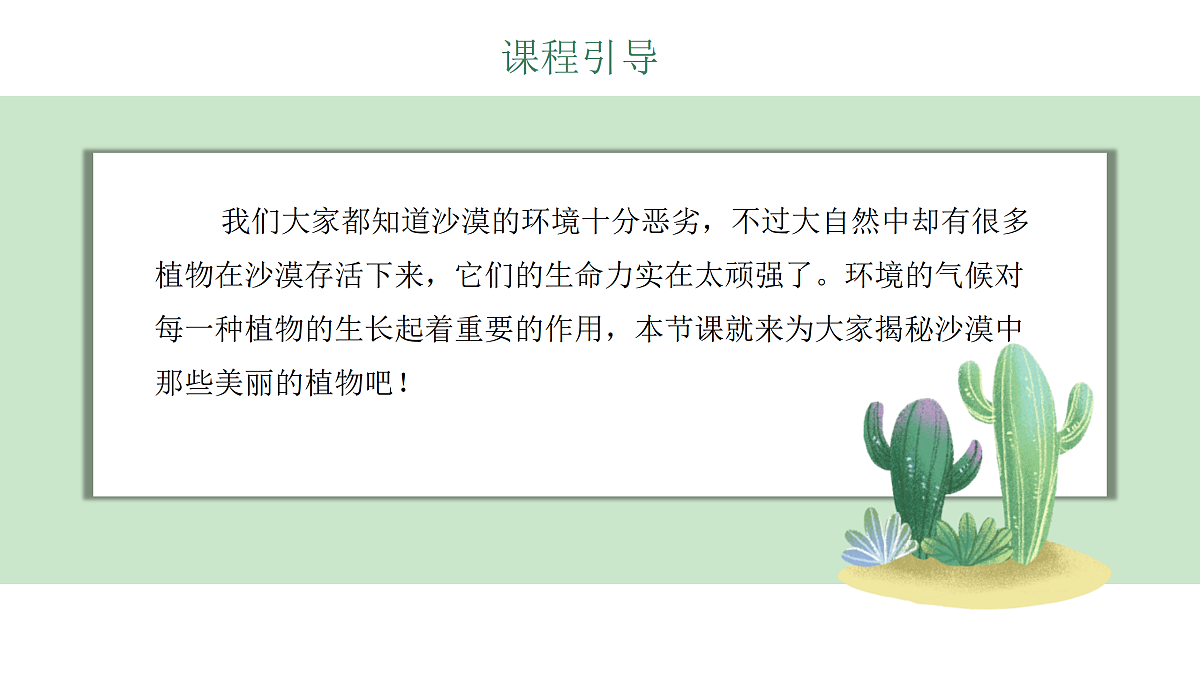 17443379第5页