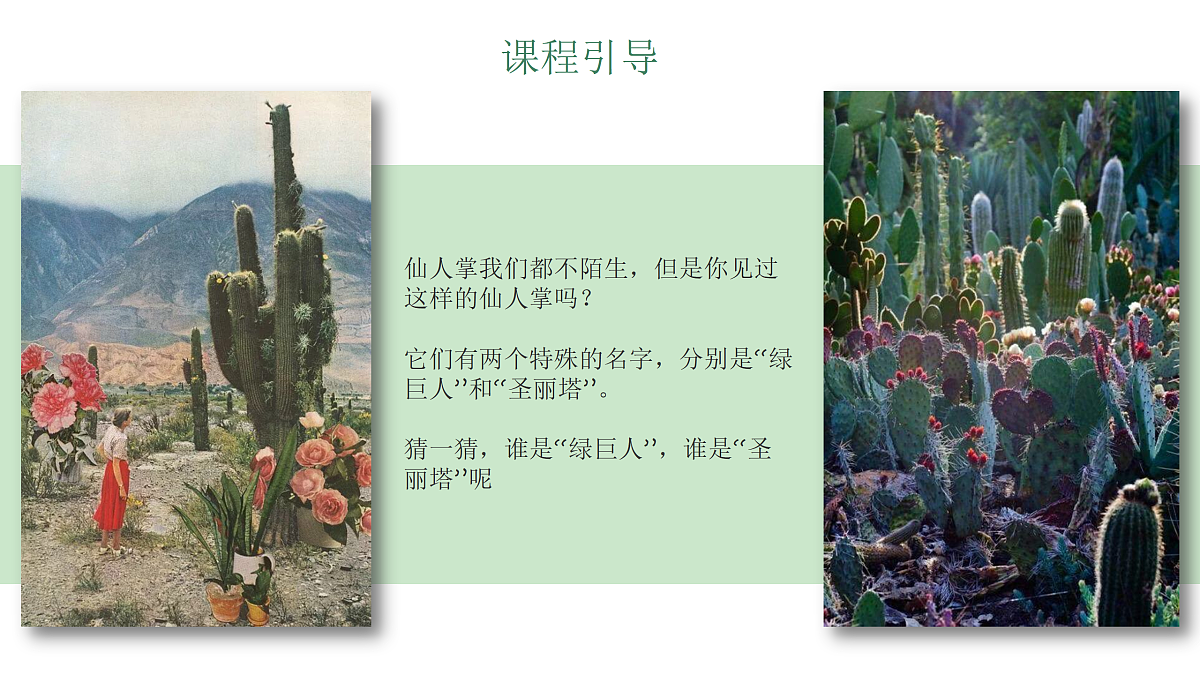 17443379第6页
