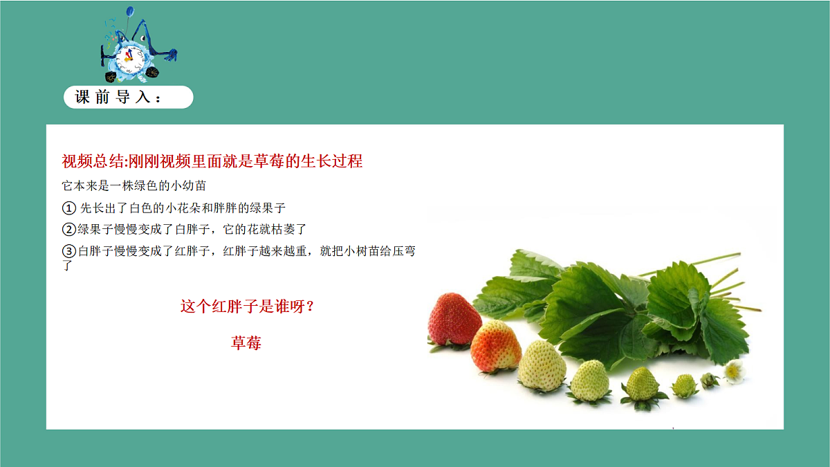 17443381第8页