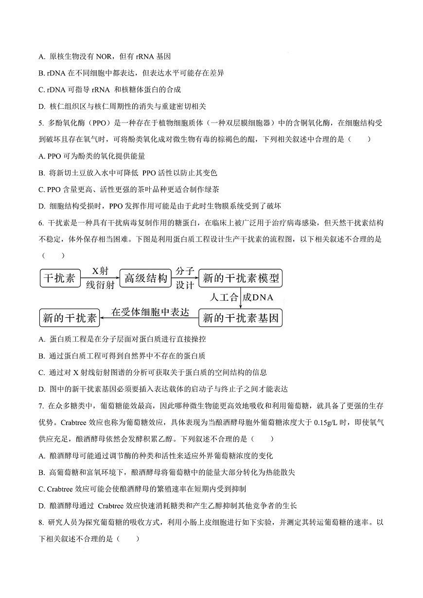 重庆市沙坪坝区重庆市南开中学校2025-2026学年高三上学期10月月考生物试题  Word版无答案第3页