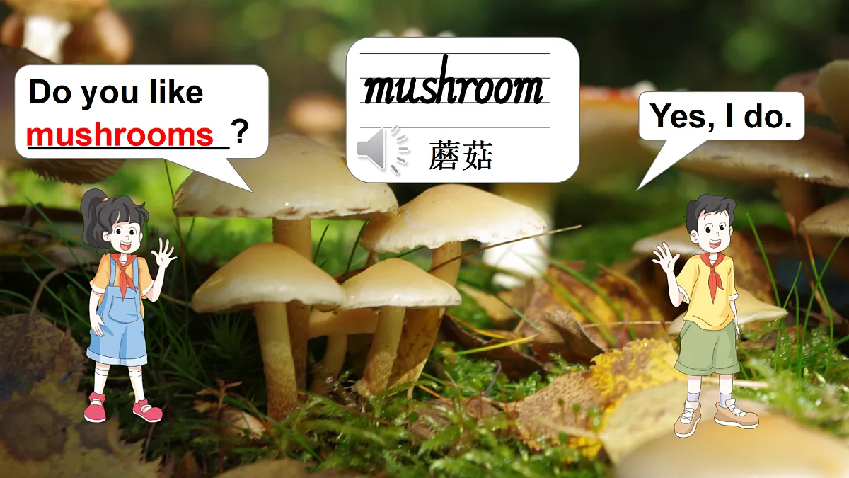 17443982第5页