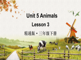 2026年人教精通版英语三下Unit 5 Animals Lesson 3（课件）