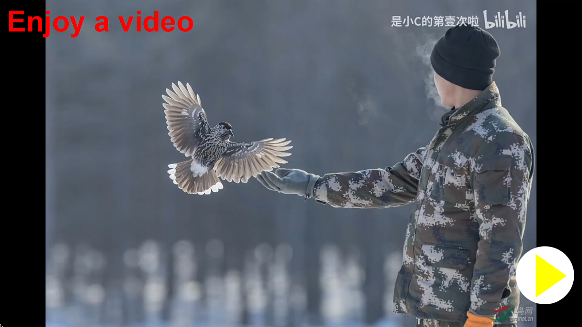 17444163第2页