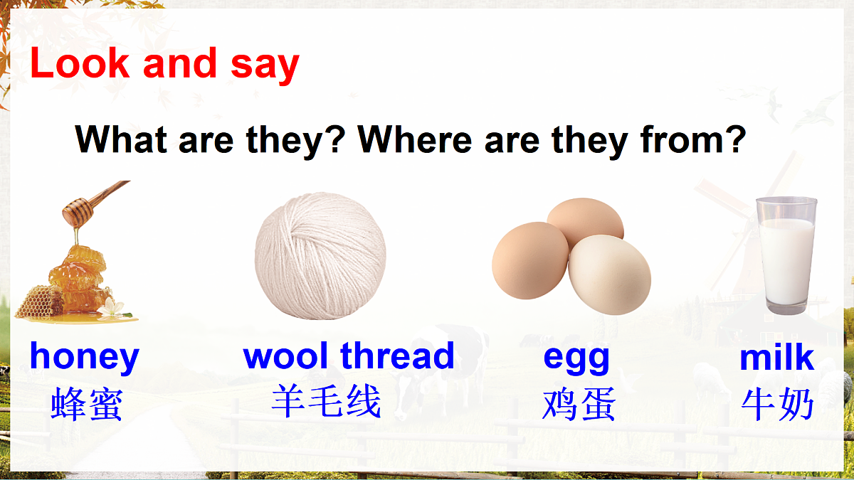 17444163第3页