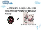 新人美版小学美术三上2-3《果篮传情谊》课件