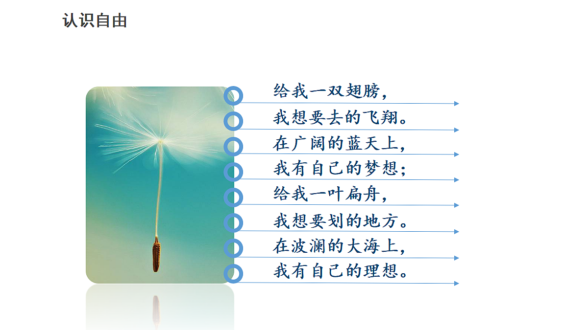 17445507第7页