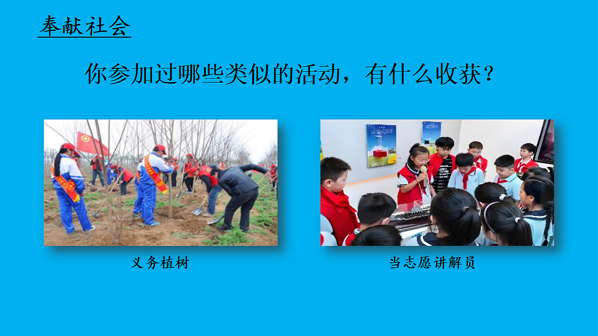 17445512第7页