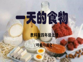 教科版四上2-4《一天的食物》课件+实验视频