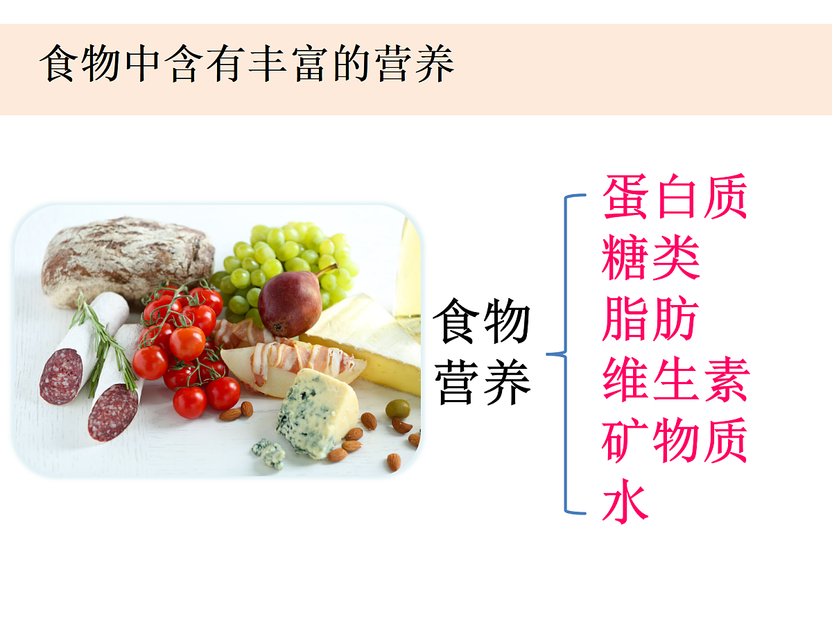 17446426第8页