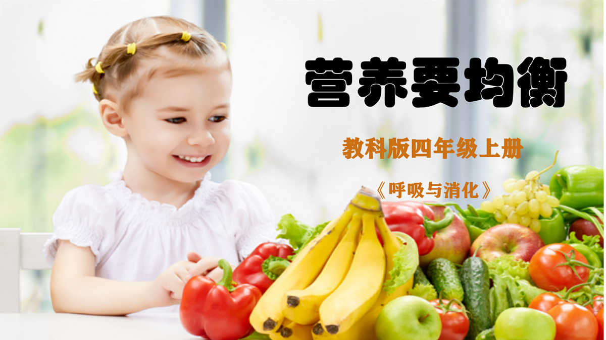 17446601第1页