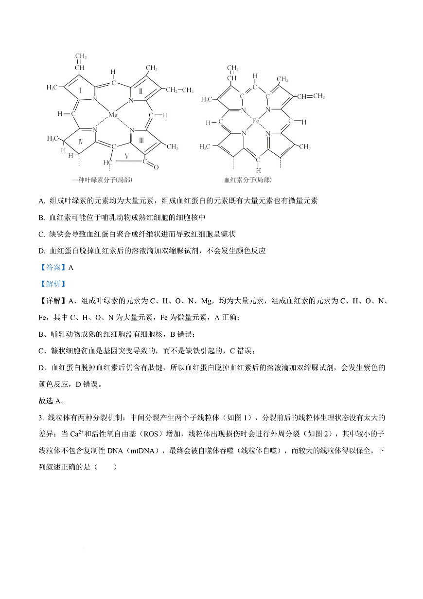 重庆市育才中学等三校2025-2026学年高三上学期10月诊断性考试生物试题  Word版含解析第3页