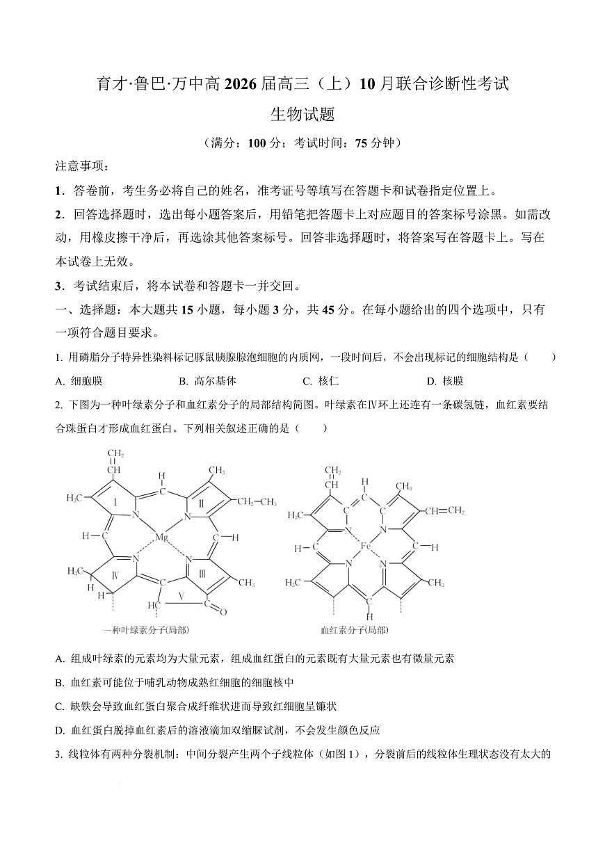 重庆市育才中学等三校2025-2026学年高三上学期10月诊断性考试生物试题  Word版无答案第1页