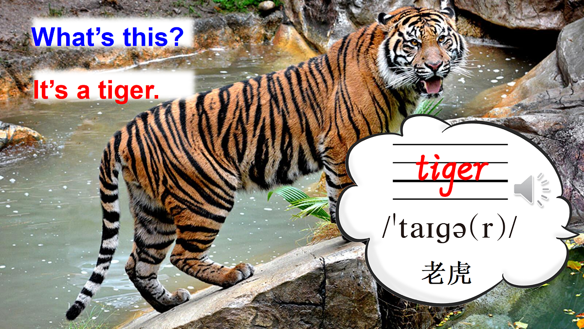 17446982第7页