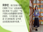 浙美版小学一年级上册 大自然真美课件+教案