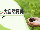 浙美版小学一年级上册 大自然真美课件+教案