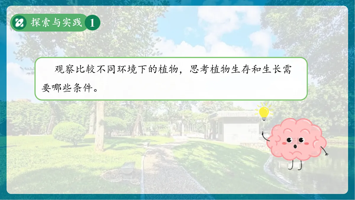【新教材新课标】粤教粤科版科学三年级上册第2课《植物需要什么》教学课件+素材第6页