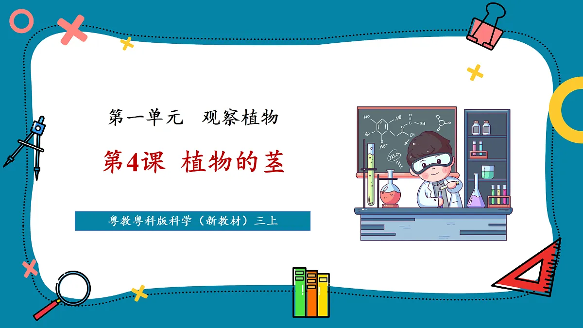 【新教材新课标】粤教粤科版科学三年级上册第4课《植物的茎》教学课件+素材第1页