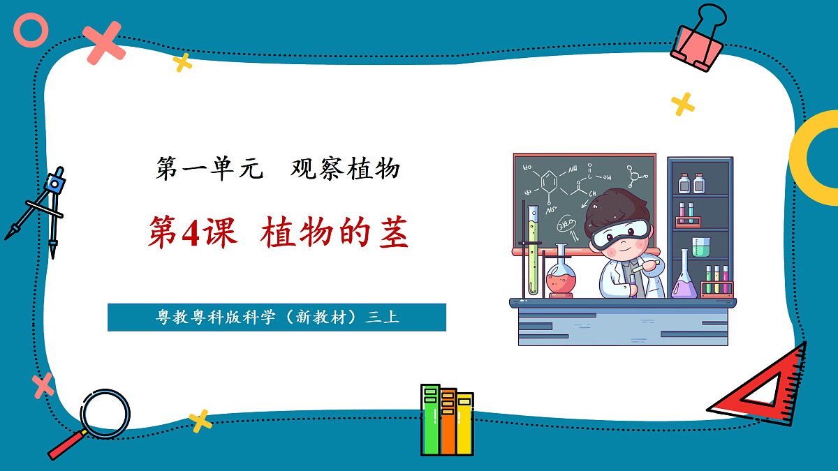 【新教材新课标】粤教粤科版科学三年级上册第4课《植物的茎》教学课件+素材第1页