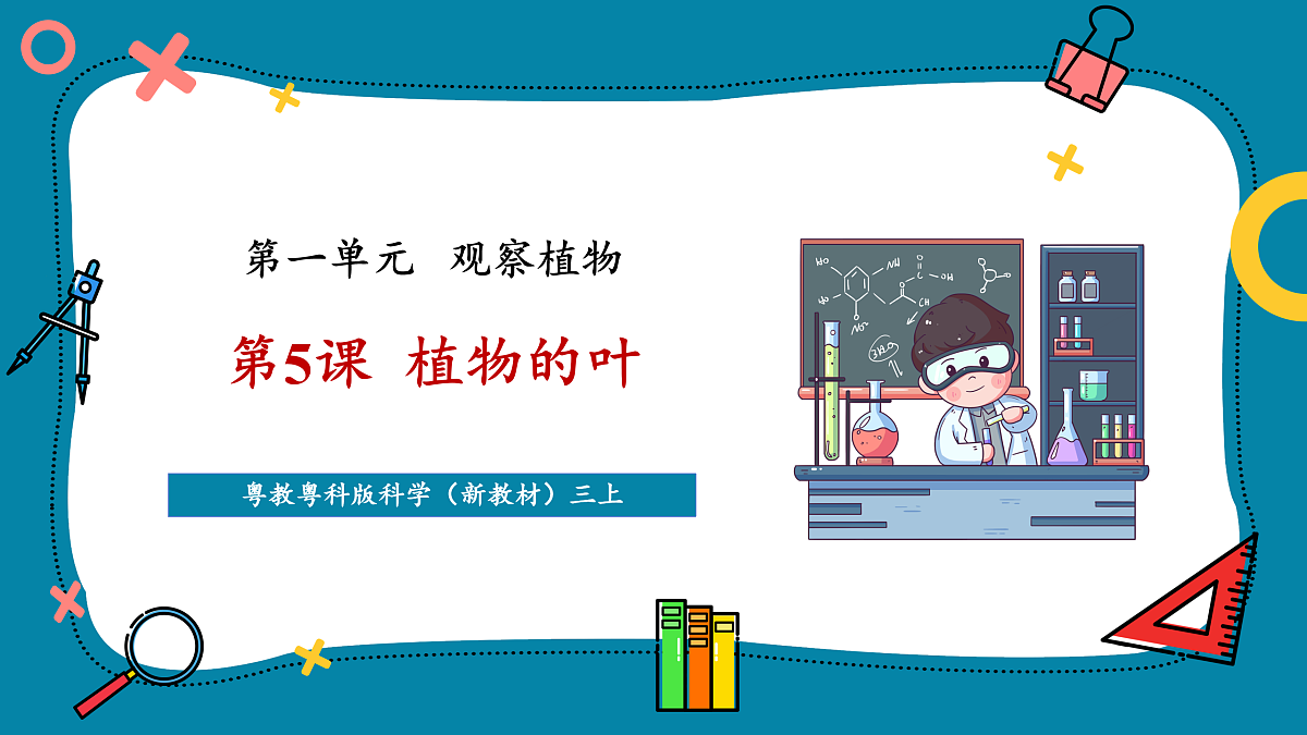 【新教材新课标】粤教粤科版科学三年级上册第5课《植物的叶》教学课件+素材第1页