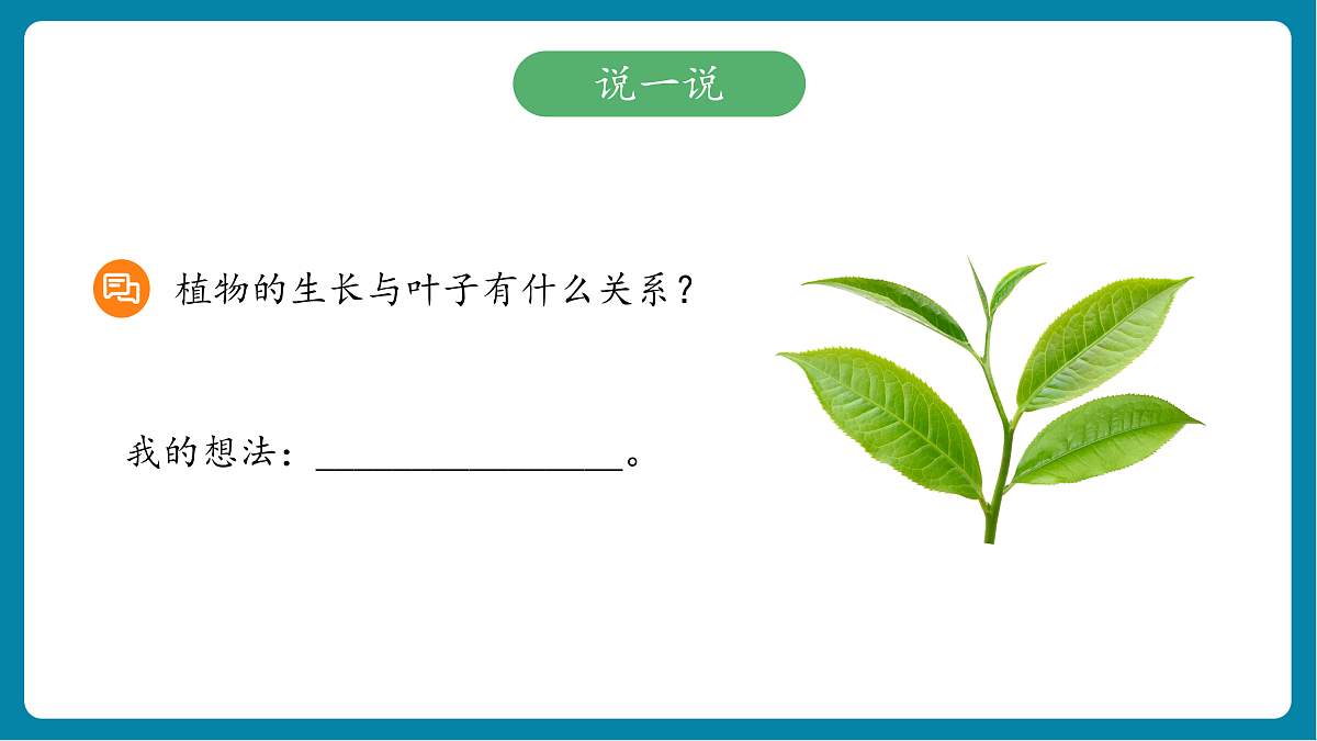 【新教材新课标】粤教粤科版科学三年级上册第5课《植物的叶》教学课件+素材第5页