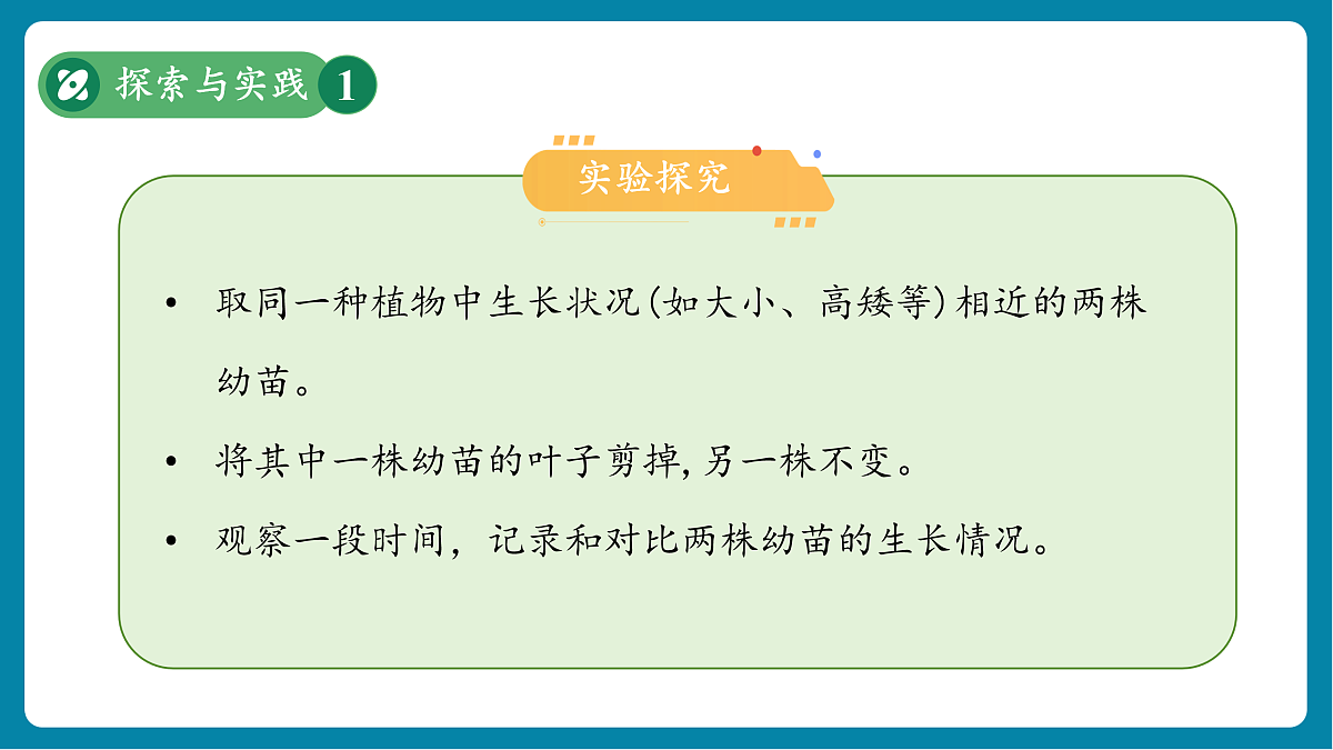 【新教材新课标】粤教粤科版科学三年级上册第5课《植物的叶》教学课件+素材第6页