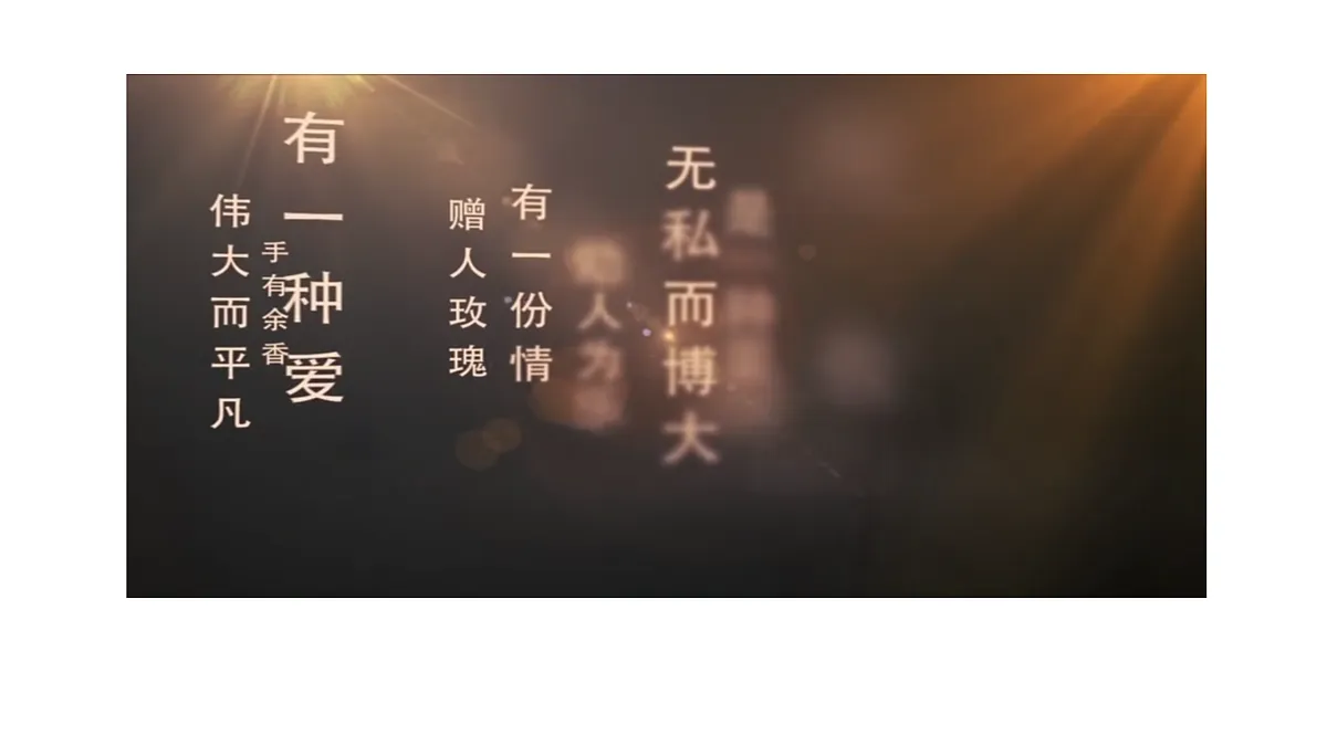 17447878第2页