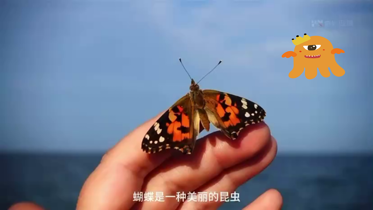 8.《蝴蝶的家》第3页