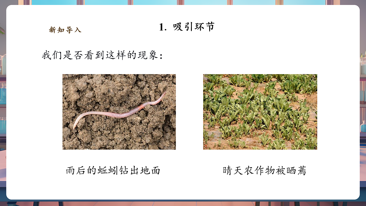 3.3《天气与动植物》课时课件（24张PPT）第4页