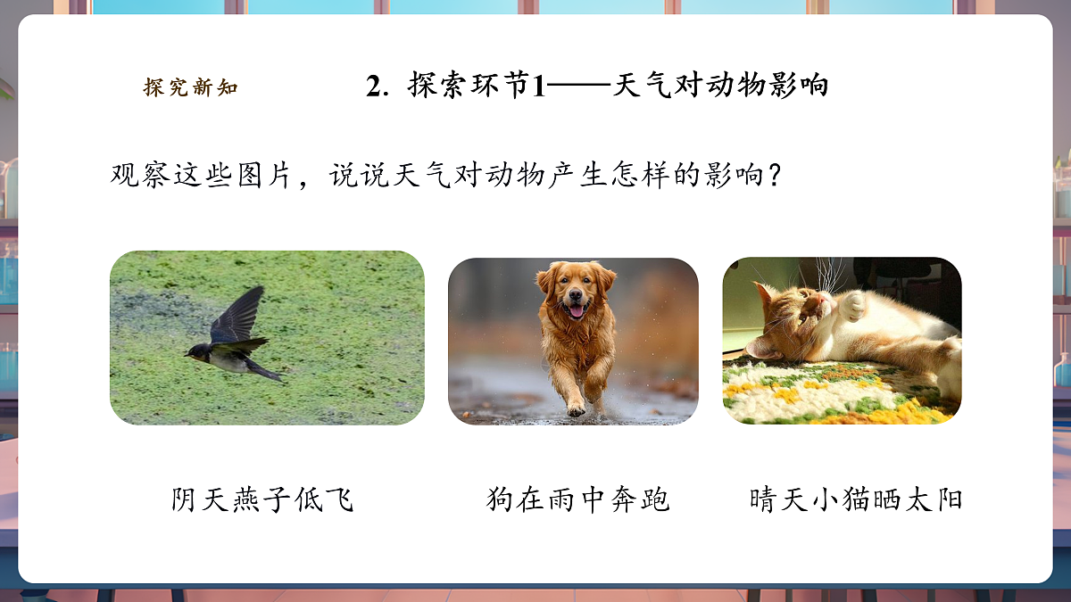 3.3《天气与动植物》课时课件（24张PPT）第6页