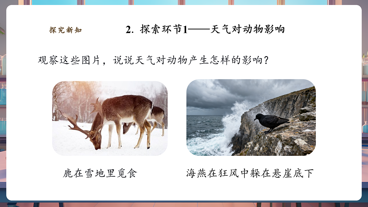 3.3《天气与动植物》课时课件（24张PPT）第7页