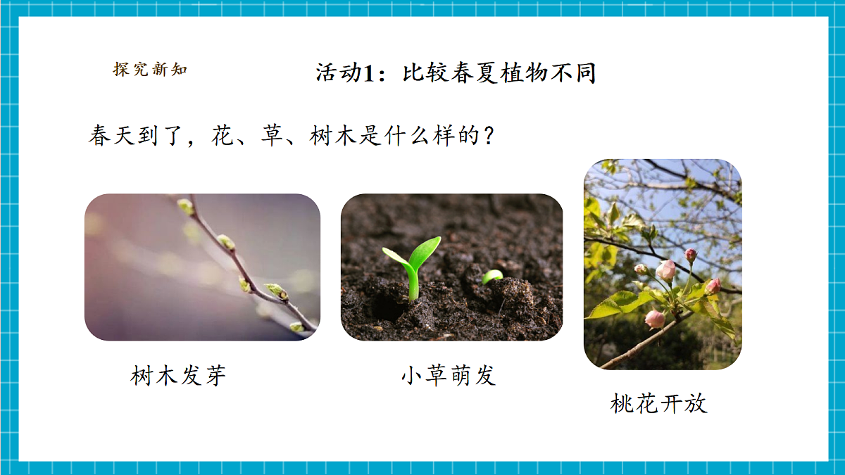 3.9《四季变化对植物的影响》课时课件（25张PPT）第7页