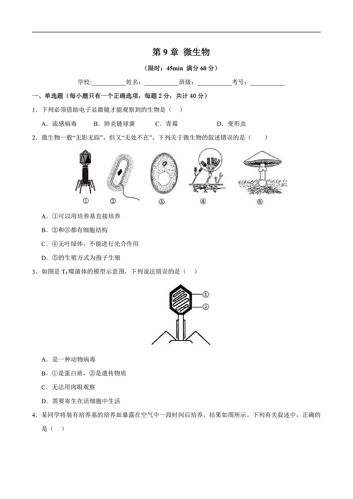 第9章 微生物（章末测试）（原卷版）第1页
