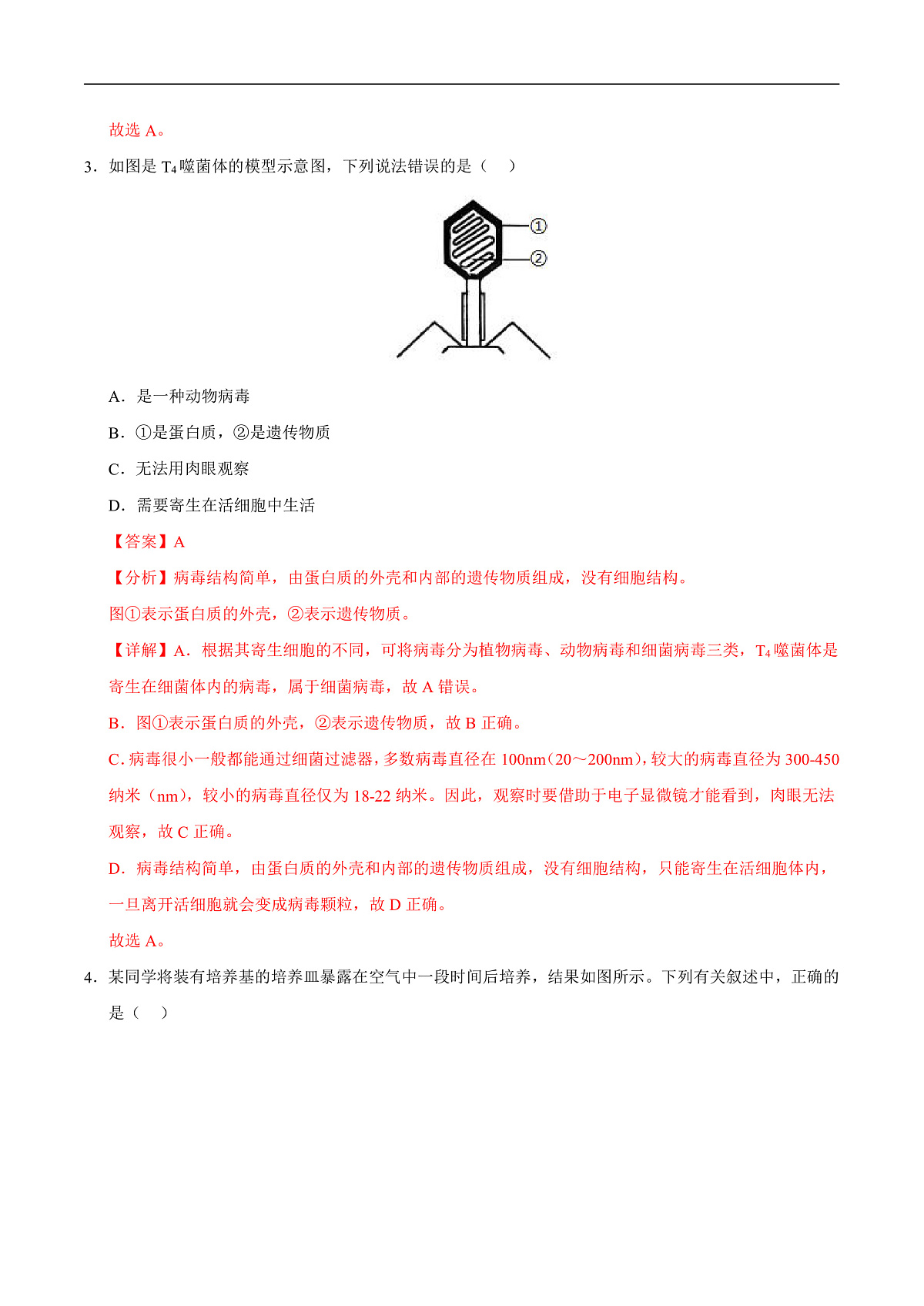第9章 微生物（章末测试）（解析版）第2页