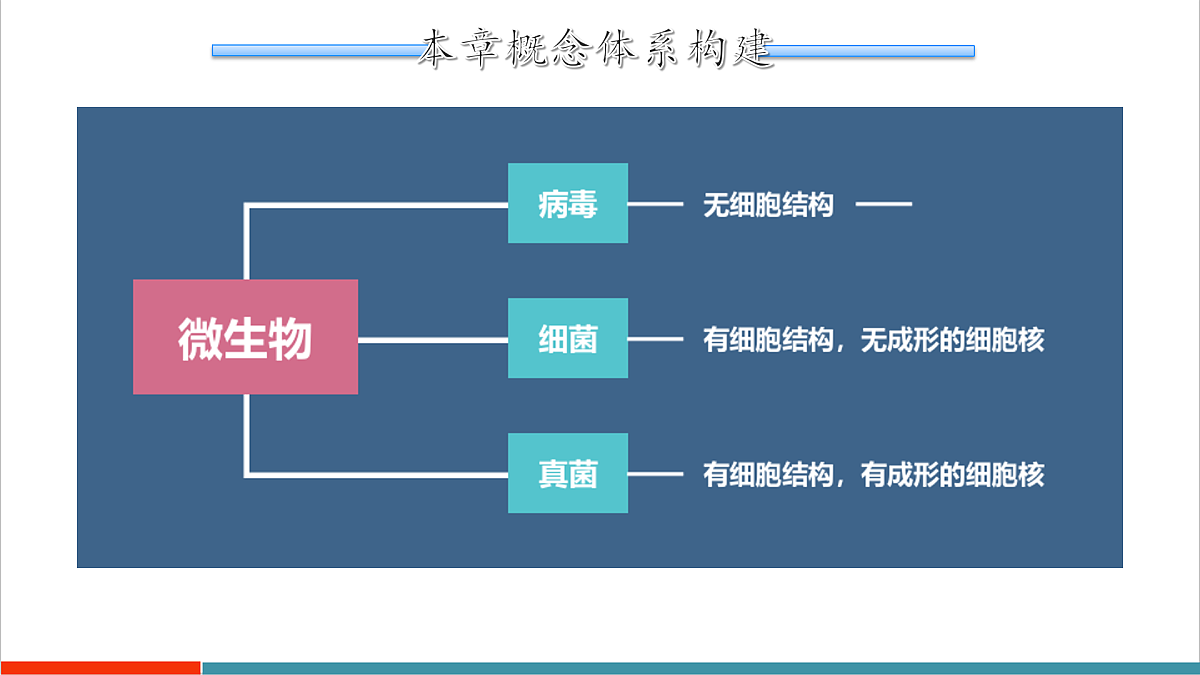 第9章 微生物（复习课件）第2页