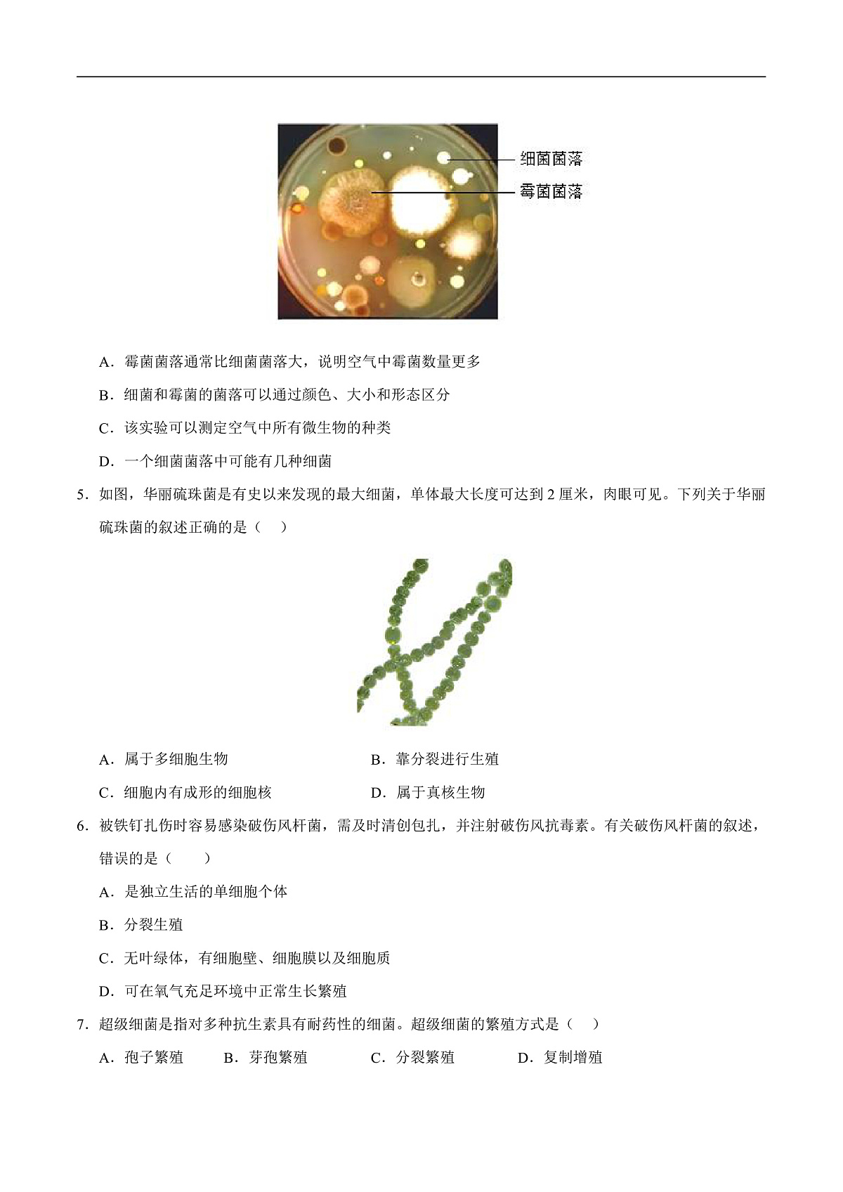 第9章 微生物（章末测试）（原卷版）第2页