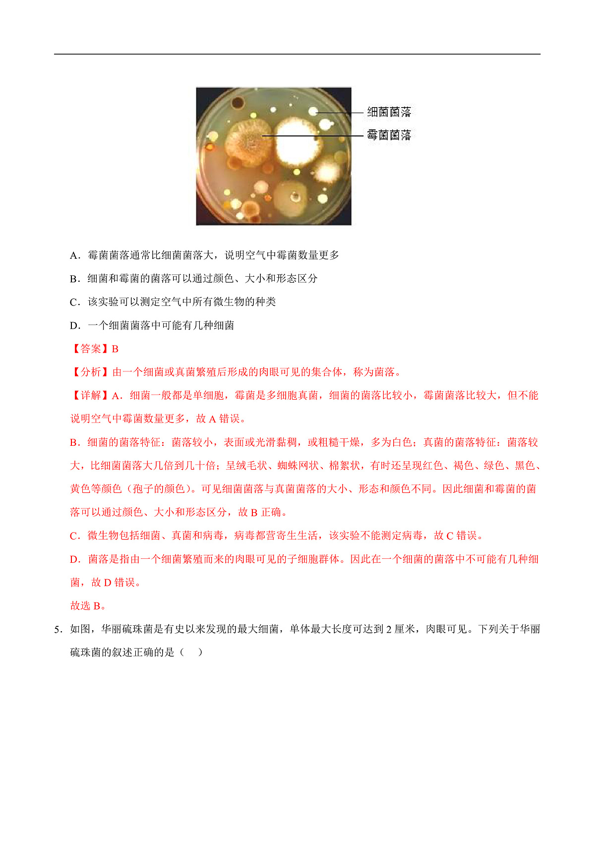第9章 微生物（章末测试）（解析版）第3页