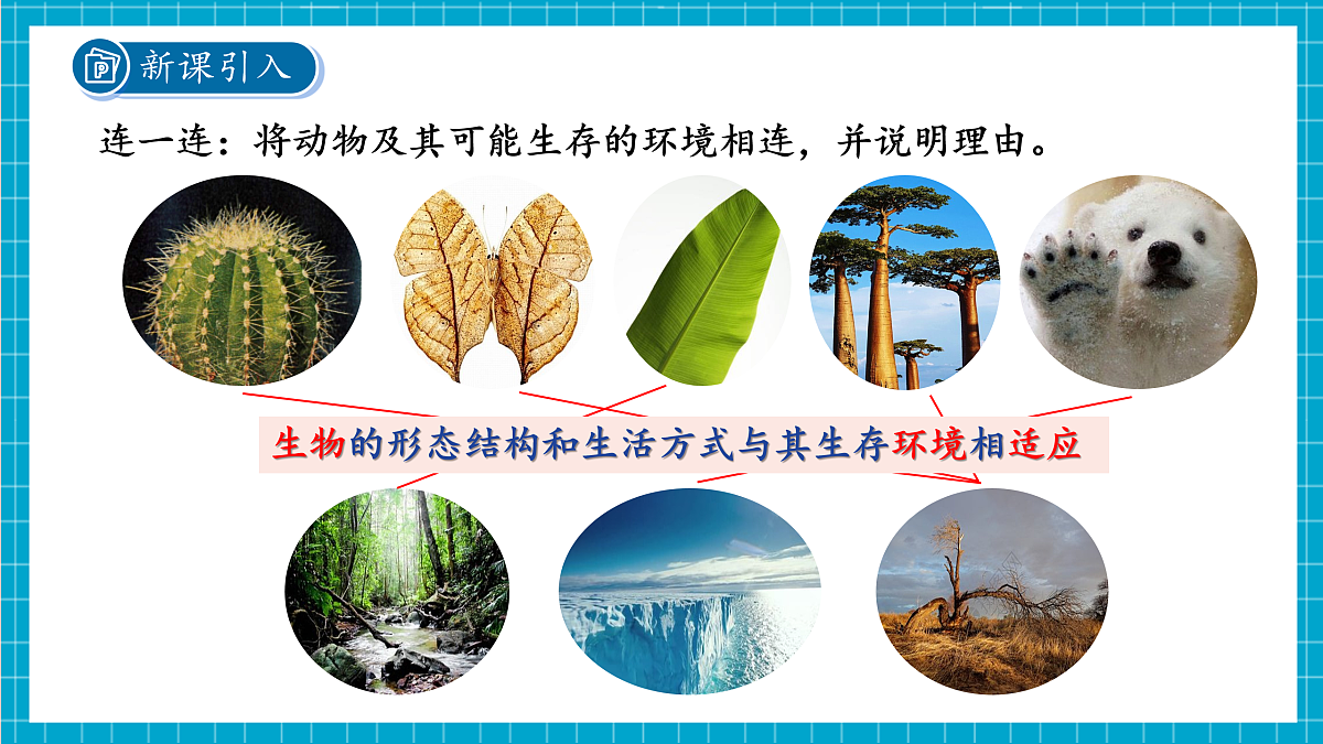 2.5 生物多样性 第1课时 课件第3页