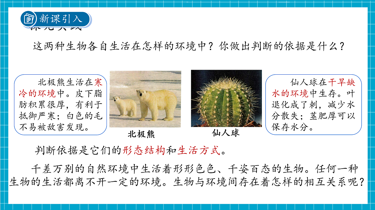 2.5 生物多样性 第1课时 课件第4页
