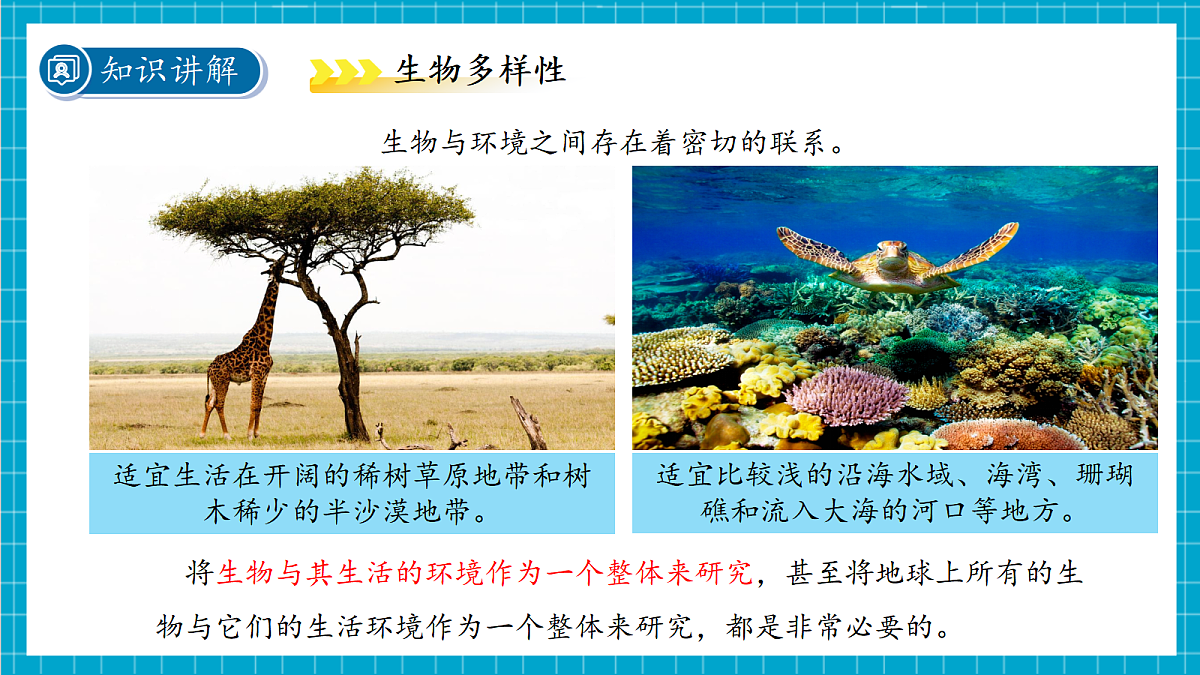 2.5 生物多样性 第2课时课件第4页