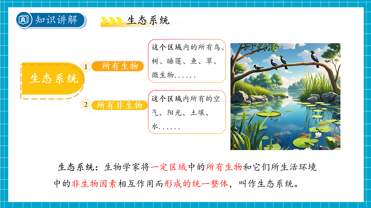 2.5 生物多样性 第2课时课件第6页