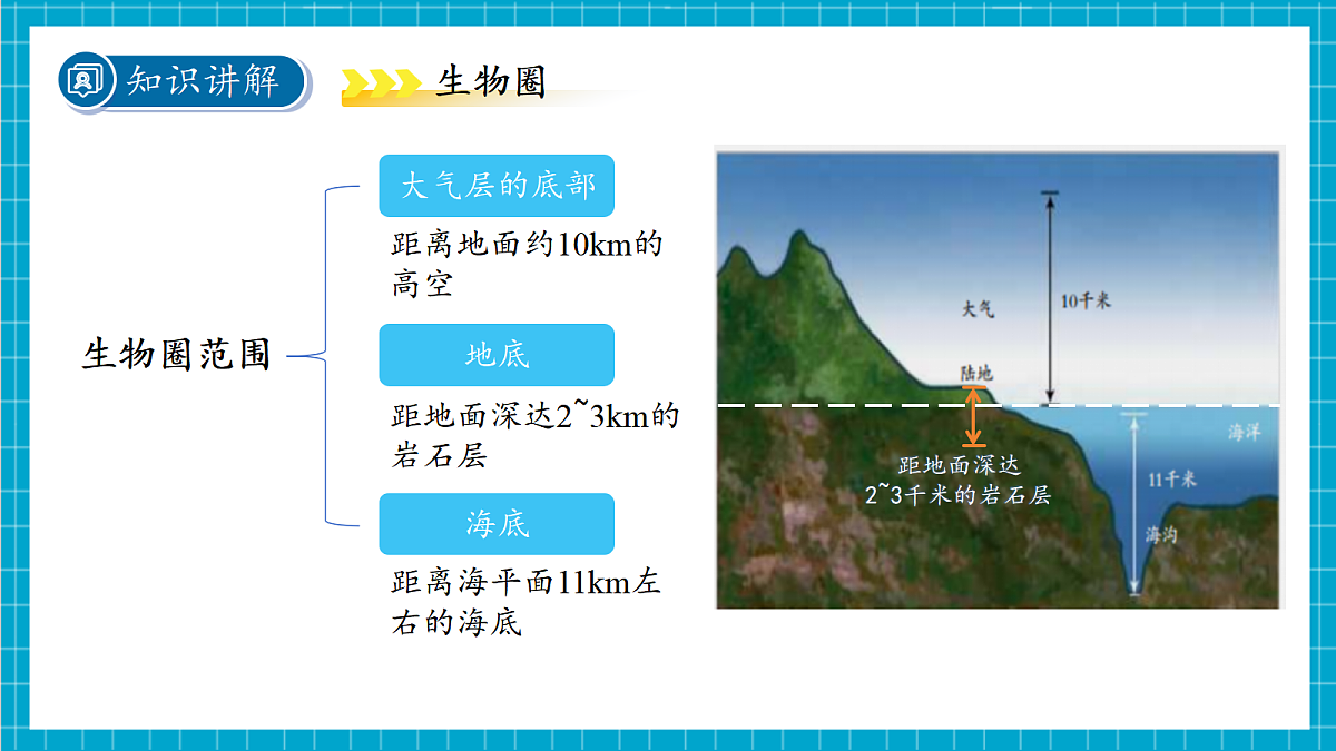 2.5 生物多样性 第2课时课件第8页