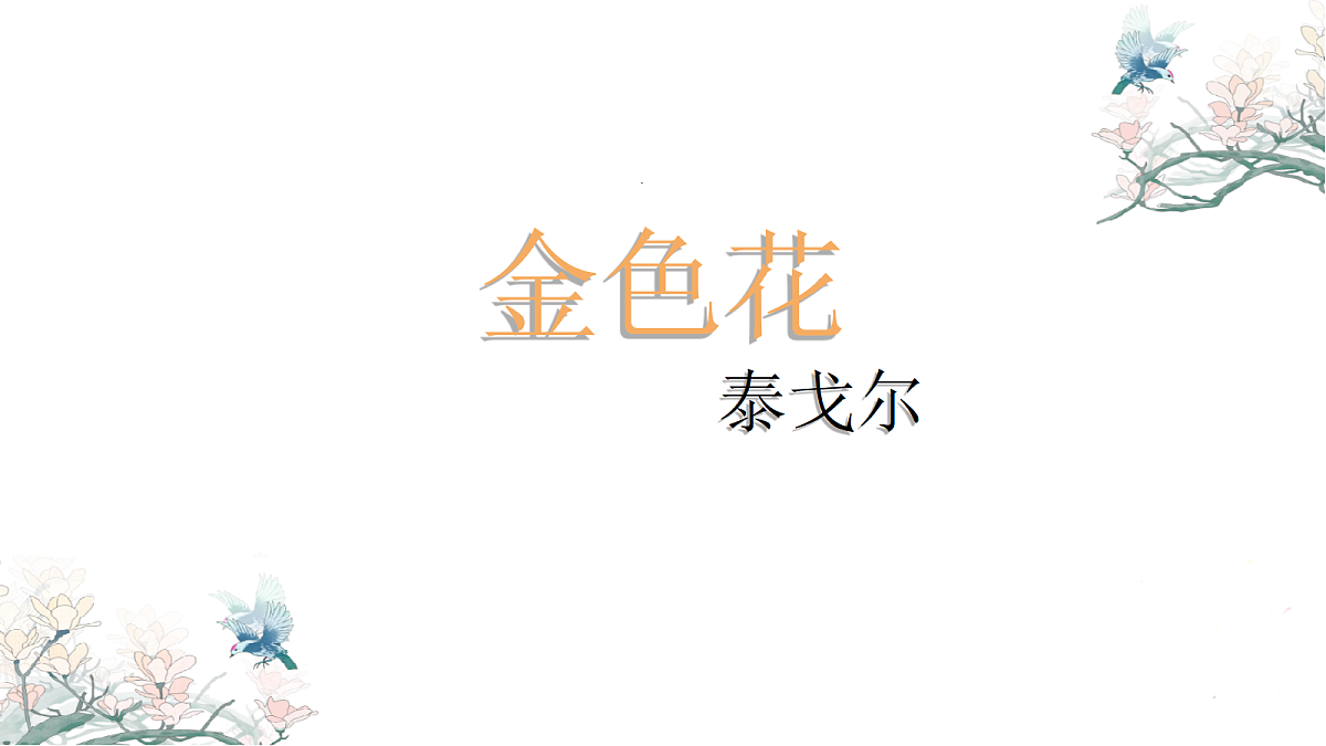 17449076第2页